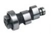 CAMSHAFT:FTLZ-019