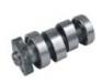 CAMSHAFT:FTLZ-043