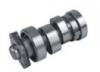 CAMSHAFT:FTLZ-041